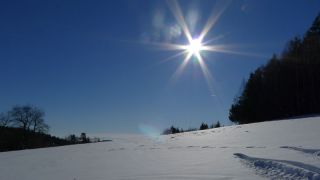 Gutau, Upper Austria (29. Januar 2011)
