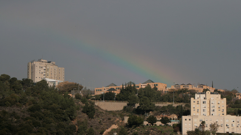 from home, nesher, israel ( 7. Februar 2011)