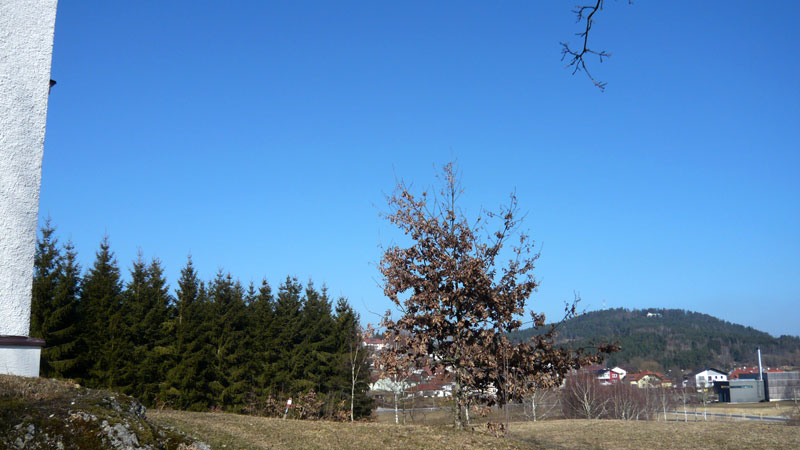 Gutau, Upper Austria, Austria ( 4. März 2011)