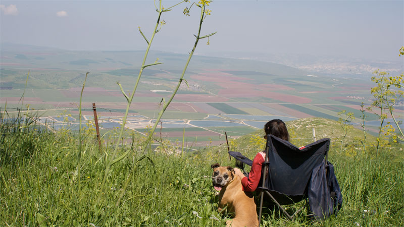 gilboa mountain, north israel (26. März 2011)