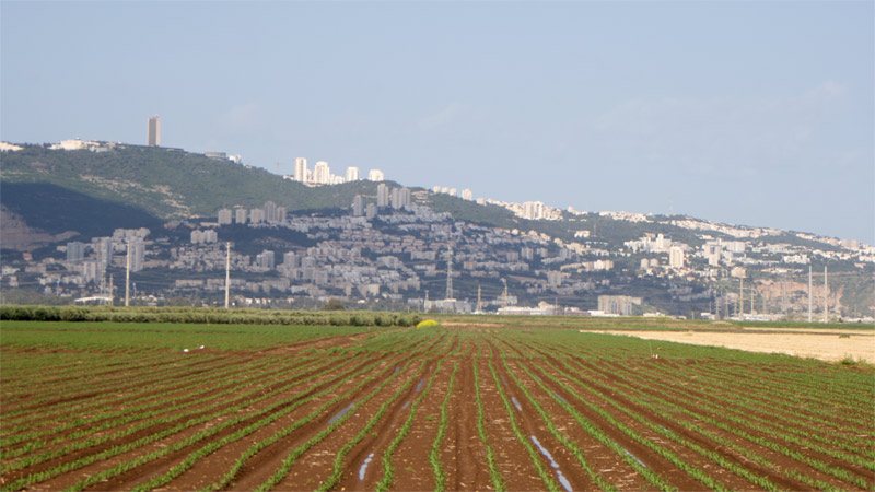 zebulun valley overlooking carmel, israel (29. April 2011)