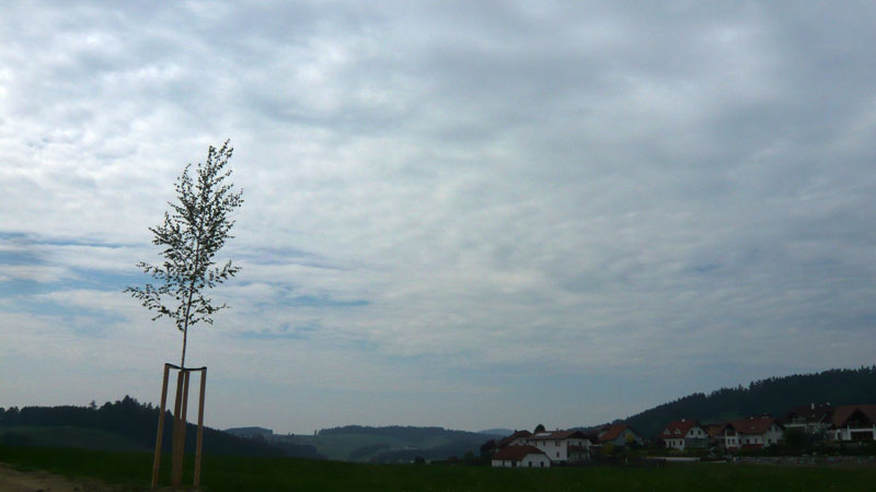 Gutau, Upper Austria, Austria (14. Mai 2011)