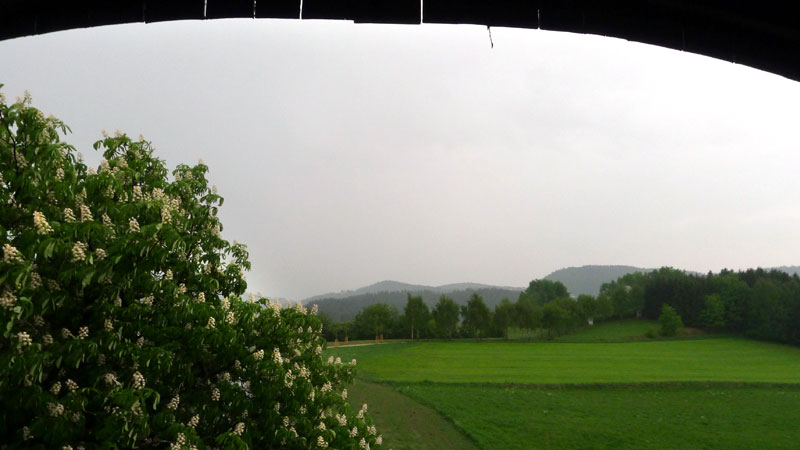Gutau, Upper Austria (12. Mai 2011)