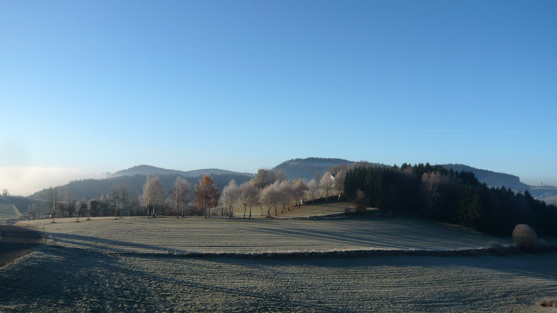 Gutau, Upper Austria, Austria (22. November 2011)