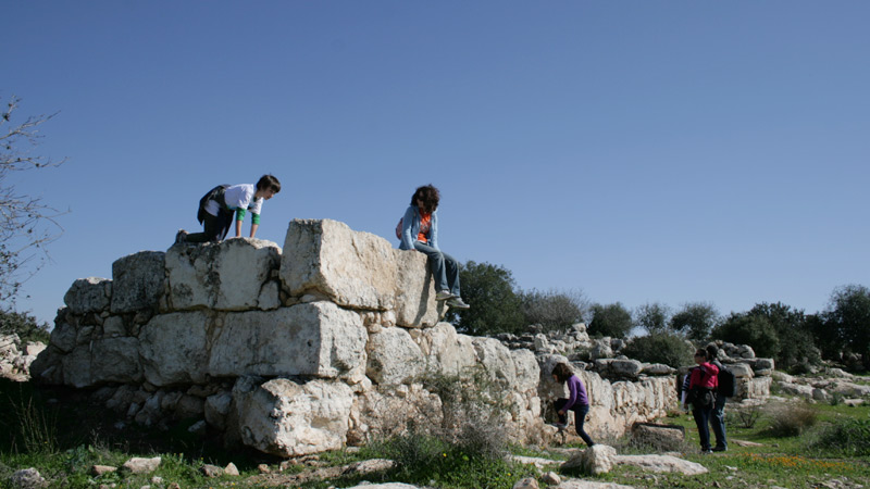 adullam park near bet shemesh, israel ( 4. Februar 2012)