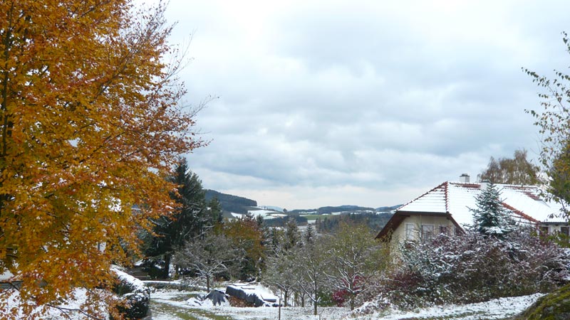 Gutau, Oberösterreich, Österreich (28. Oktober 2012)