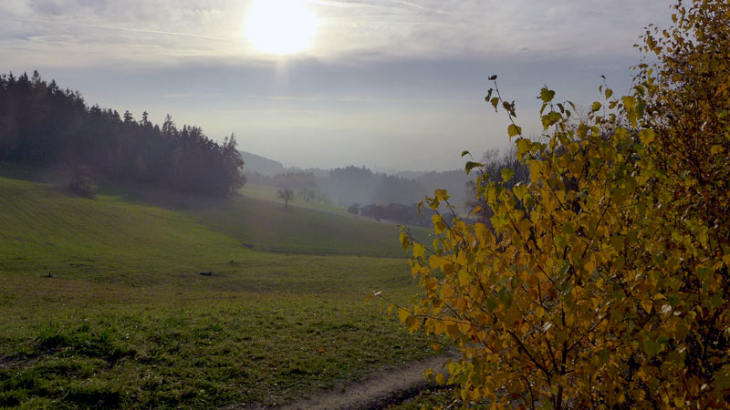 4291 Lasberg, Austria (11. November 2012)