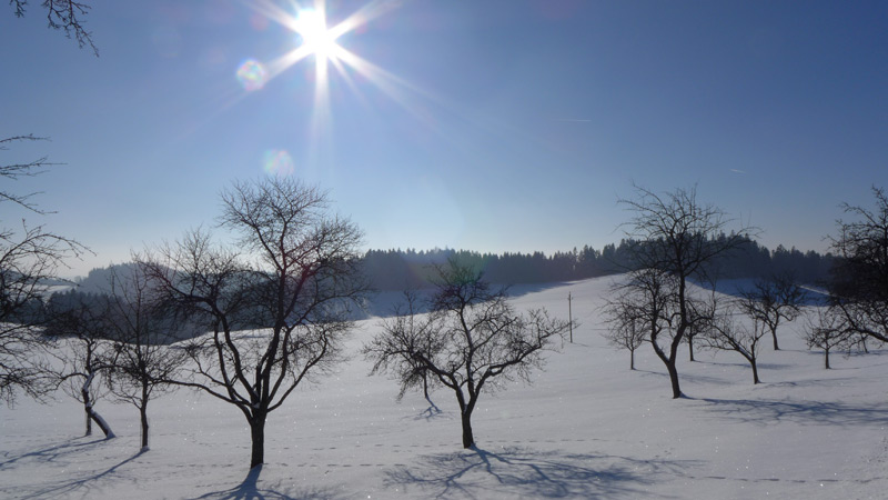 4271 Witzelsberg, Austria (26. Januar 2013)