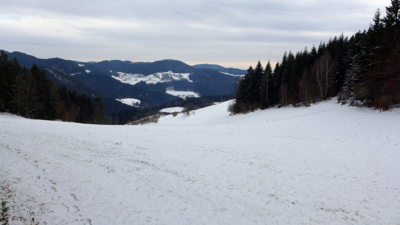 4293 Gutau, Austria (13. Januar 2013)