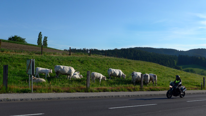 Gutau, Oberösterreich, Österreich (21. Mai 2014)
