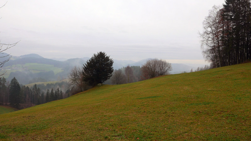 4293 Gutau, Austria (17. Dezember 2014)