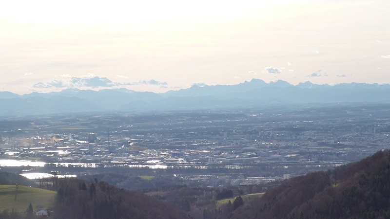4203 Altenberg bei Linz (10. Januar 2015)