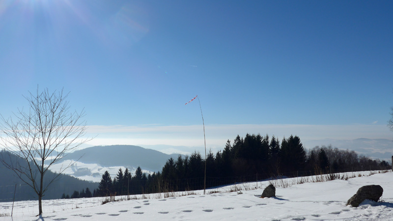 Witzelsberg, Oberösterreich, Österreich (14. Februar 2015)