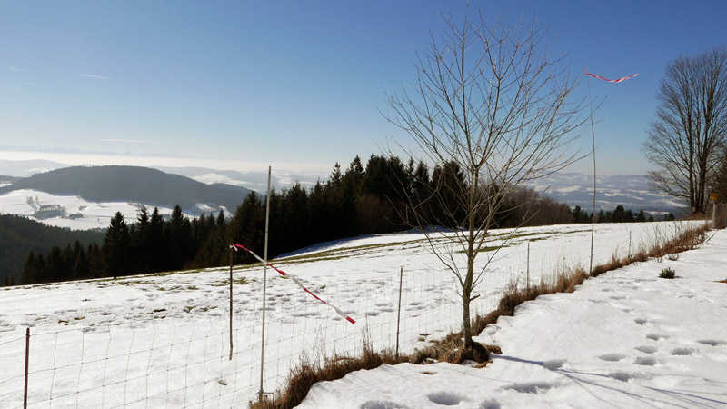 4291 Lasberg, Österreich (20. Februar 2015)