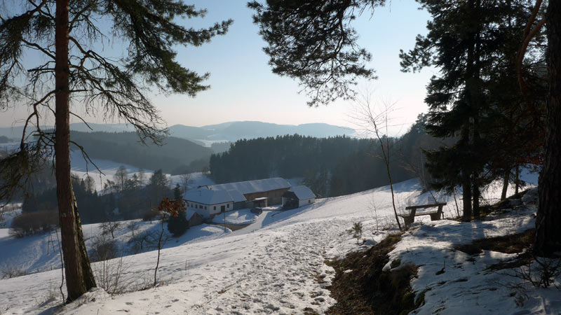 Erdmannsdorf, Oberösterreich, Österreich ( 7. Februar 2015)