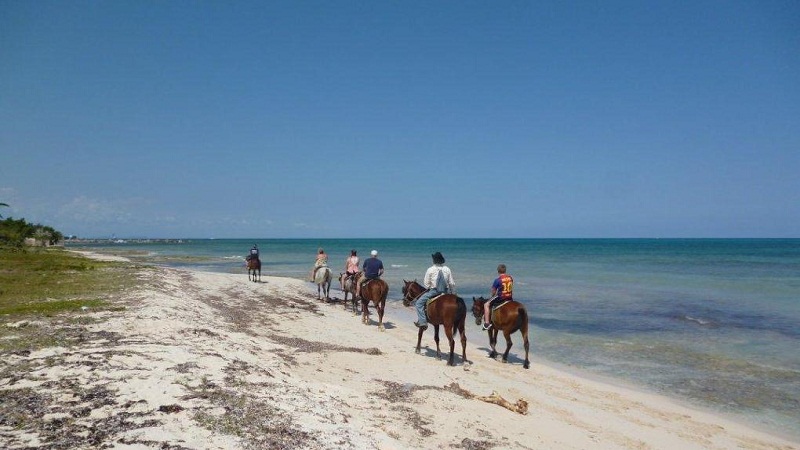 Playa Guardalavaca, 84170 Banes, Kuba  ( 8. April 2015)