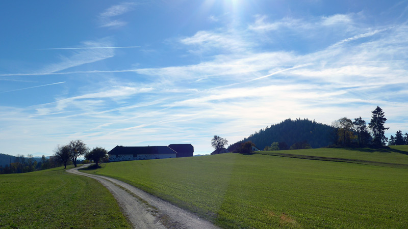 Witzelsberg, Oberösterreich, Österreich (28. Oktober 2015)