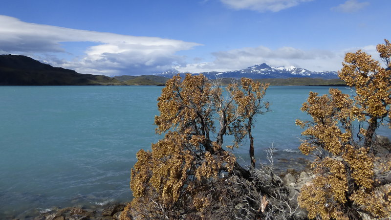 Chile, Nationalpark Torres del Paine ( 7. Dezember 2015)