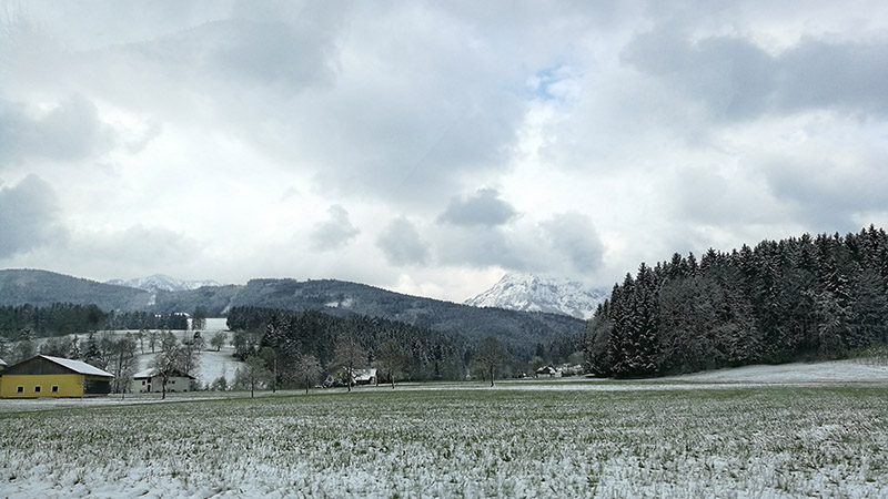 4817 Kranichsteg, Österreich (20. April 2017)