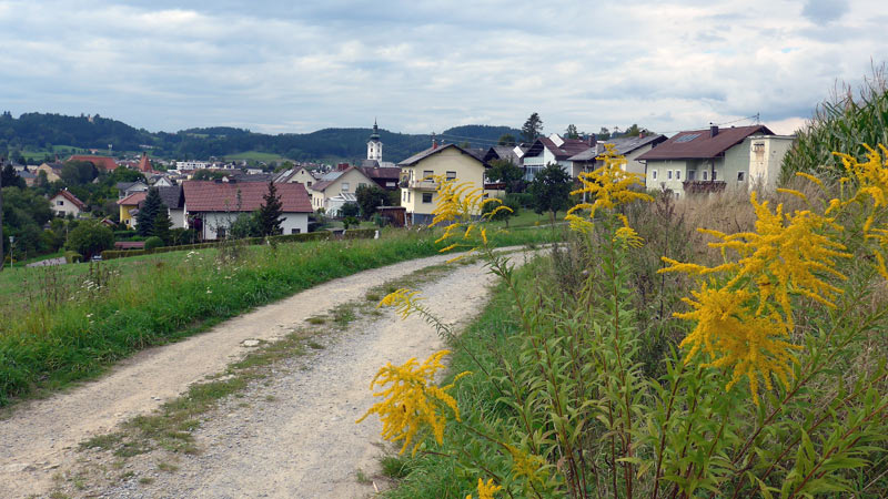 4240 Freistadt, Österreich ( 5. September 2019)