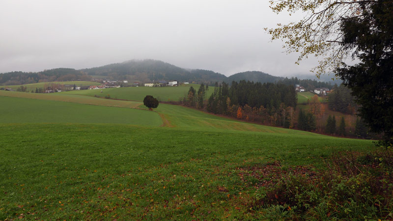 4293 Gutau, Österreich ( 9. November 2019)