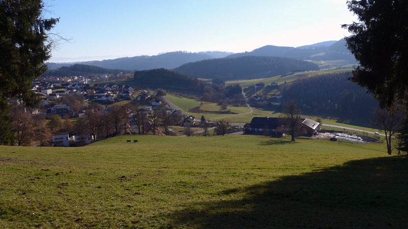 4293 Gutau, Österreich (24. November 2020)