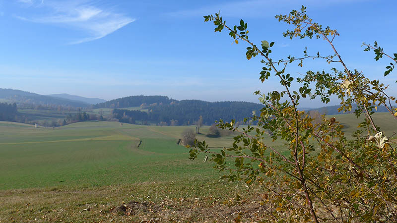 4263 Windhaag bei Freistadt, Österreich (31. Oktober 2021)