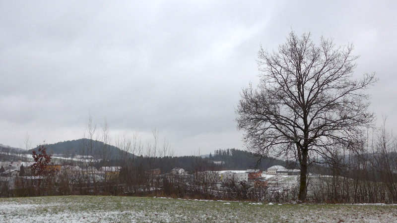 4293 Gutau, Österreich (27. Januar 2023)