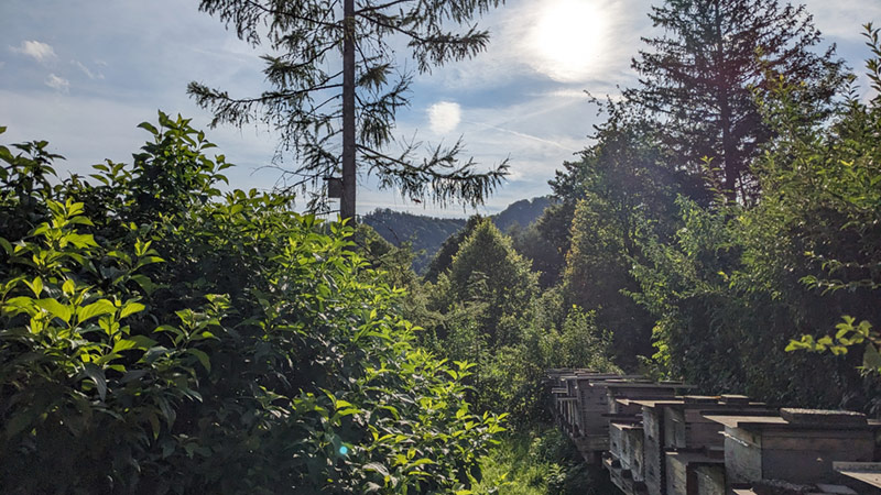 A-4645 Grünau im Almtal (31. August 2023)