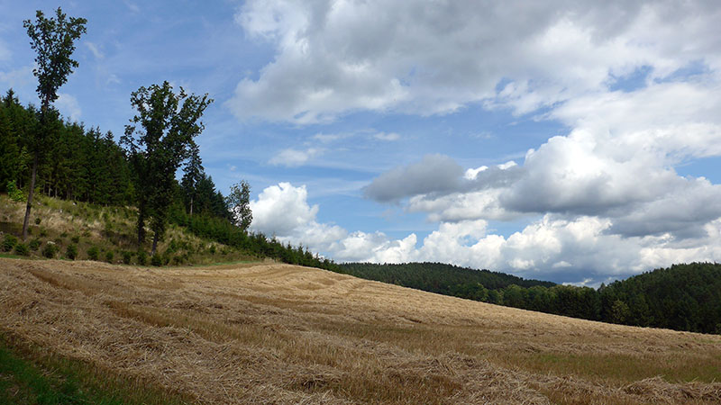 4212 Neumarkt im Mühlkreis, Österreich ( 8. August 2023)