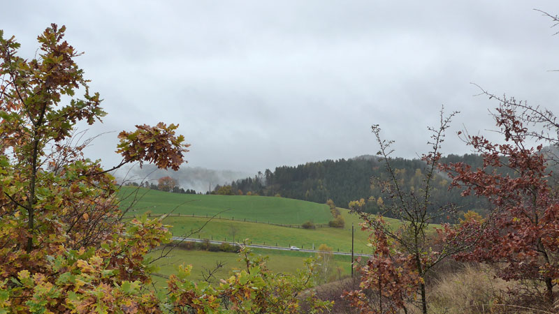 4293 Gutau, Österreich ( 3. November 2023)