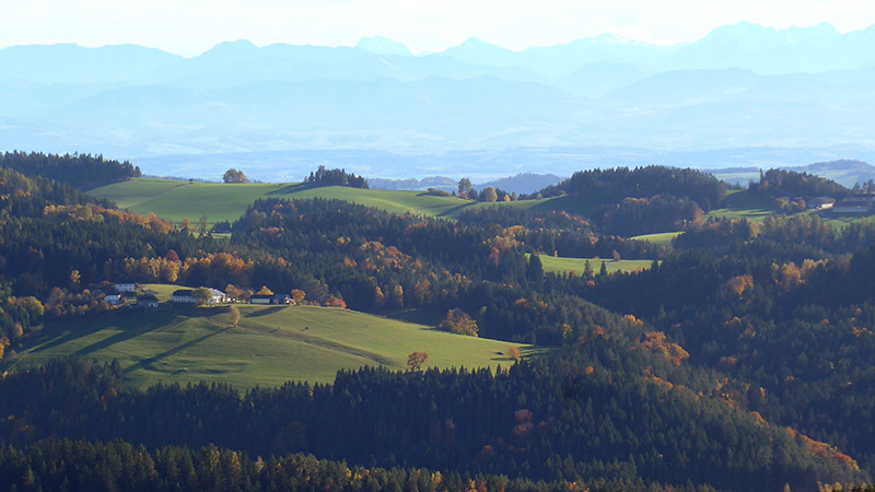 4294 St. Leonhard bei Freistadt, Österreich ( 1. November 2023)