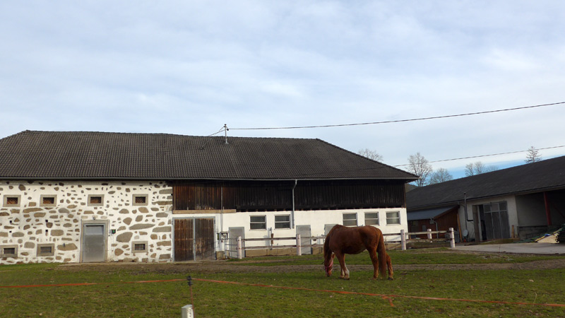 4271 Lasberg, Österreich (28. Dezember 2023)