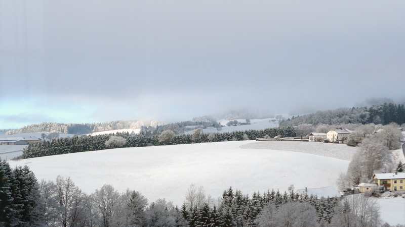 4293 Gutau, Österreich (24. Februar 2024)