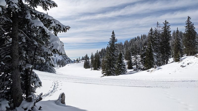 A-4645 Grünau im Almtal (24. Februar 2024)