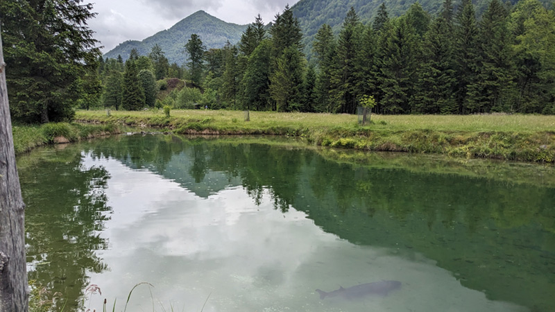 A-4645 Grünau im Almtal (26. Mai 2024)