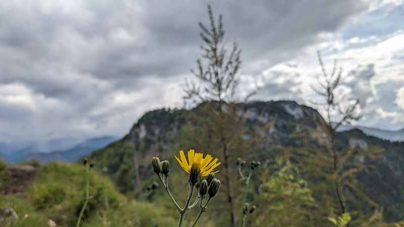 A-4644 Scharnstein (24. Mai 2024)