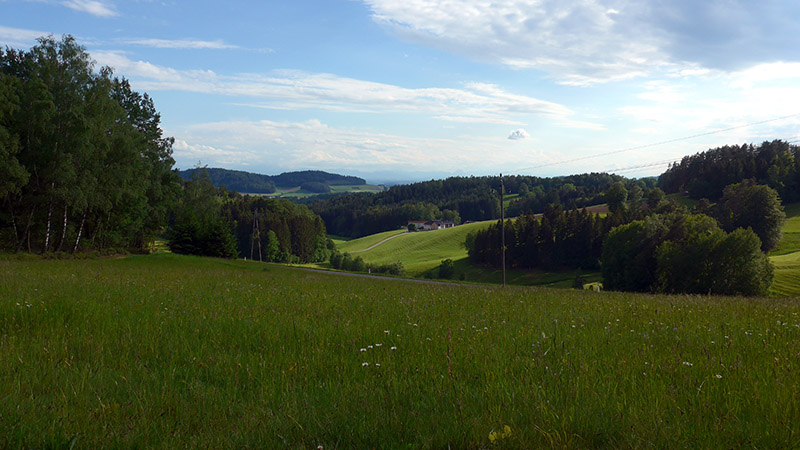 4293 Gutau, Österreich (19. Mai 2024)