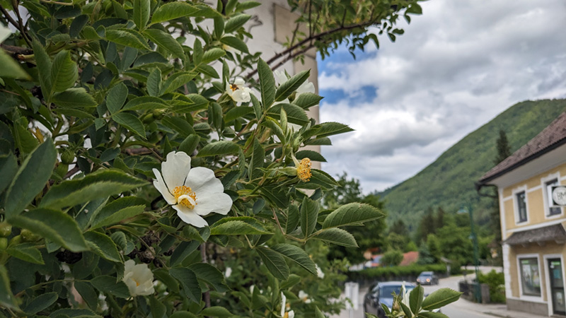 A-4645 Grünau im Almtal (16. Mai 2024)