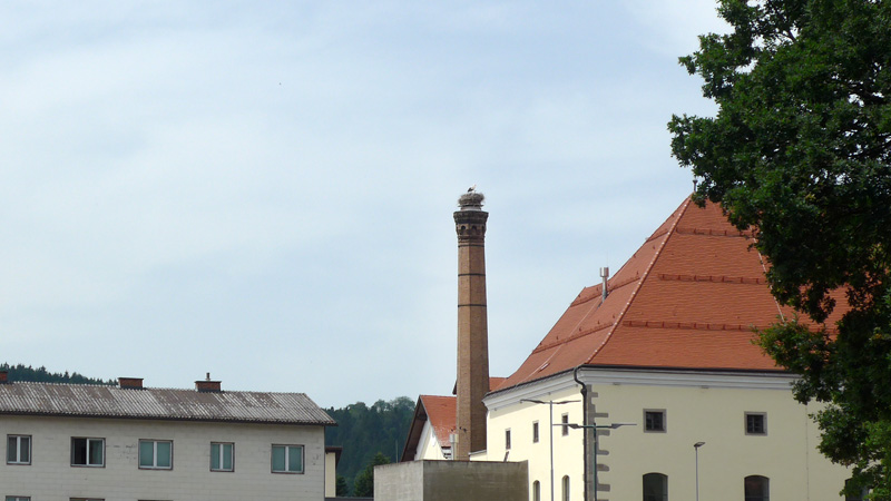 4240 Freistadt, Österreich (20. Juni 2024)