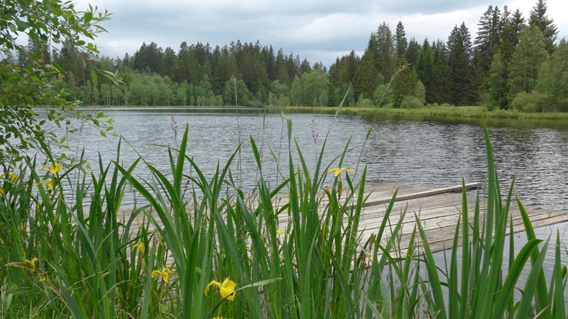 4251 Sandl, Österreich (13. Juni 2024)