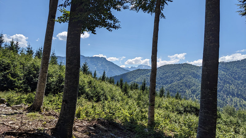 A-4645 Grünau im Almtal ( 6. Juli 2024)