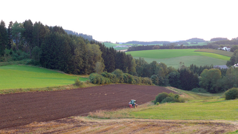 4293 Gutau, Österreich (24. Juli 2024)