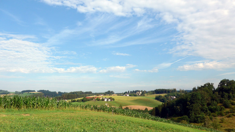 4293 Gutau, Österreich (12. Juli 2024)