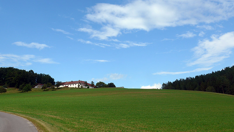 4293 Gutau, Österreich ( 3. August 2024)