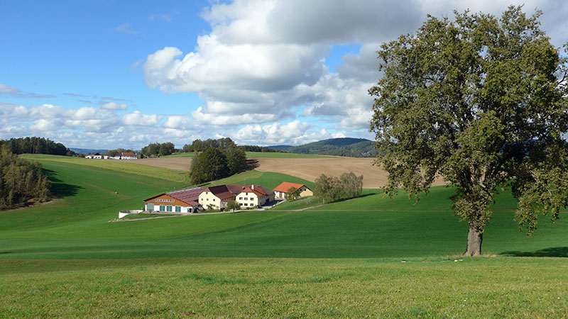 4293 Gutau, Österreich ( 6. Oktober 2024)